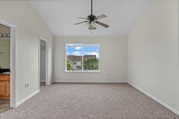 Ceiling fan